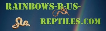 Rainbows-r-us Reptiles