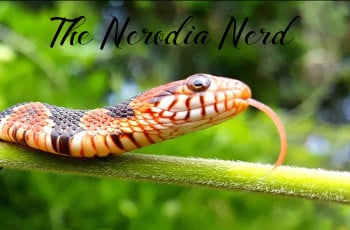 The Nerodia Nerd