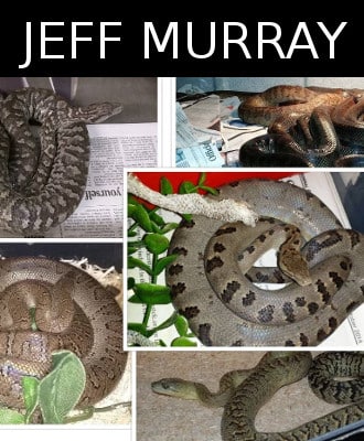 Jeff Murray